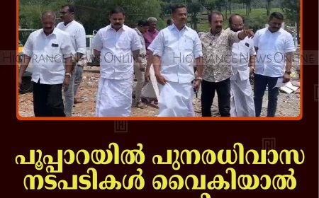 പൂപ്പാറയില്‍ പുനരധിവാസ നടപടികള്‍ വൈകിയാല്‍ സമരം ആരംഭിക്കും: കെവിവിഇഎസ്