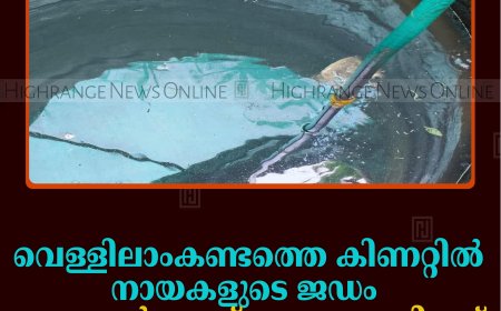വെള്ളിലാംകണ്ടത്തെ കിണറ്റില്‍ നായകളുടെ ജഡം: നാട്ടുകാര്‍ ഒരാഴ്ച ഉപയോഗിച്ചത് മലിനജലം 