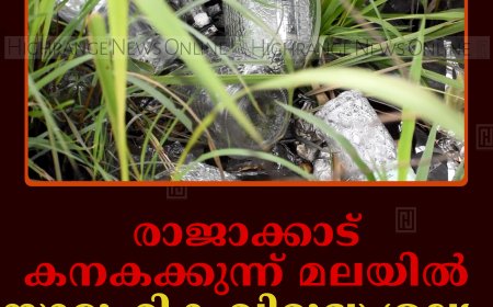 രാജാക്കാട് കനകക്കുന്ന് മലയില്‍ സാമൂഹിക വിരുദ്ധ ശല്യം രൂക്ഷം    