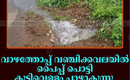 വാഴത്തോപ്പ് വഞ്ചിക്കവലയില്‍ പൈപ്പ് പൊട്ടി കുടിവെള്ളം പാഴാകുന്നു: അന്വേഷണം വേണമെന്ന് നാട്ടുകാര്‍