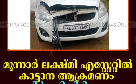 മൂന്നാര്‍ ലക്ഷ്മി എസ്റ്റേറ്റില്‍ കാട്ടാന ആക്രമണം: നിര്‍ത്തിയിട്ടിരുന്ന കാര്‍ തകര്‍ത്തു