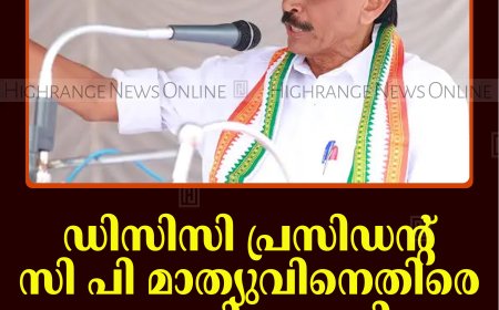 ഡിസിസി പ്രസിഡന്റ് സി പി മാത്യുവിനെതിരെ പരാതിയുമായി യൂത്ത് കോണ്‍ഗ്രസ്