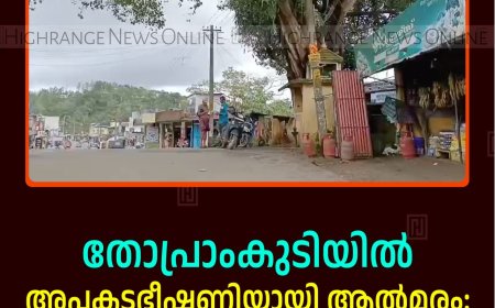 തോപ്രാംകുടിയില്‍ അപകടഭീഷണിയായി ആല്‍മരം: മുറിച്ചുനീക്കണമെന്ന് നാട്ടുകാര്‍