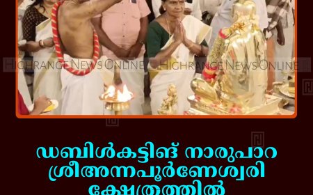 ഡബിള്‍കട്ടിങ് നാരുപാറ ശ്രീഅന്നപൂര്‍ണേശ്വരി ക്ഷേത്രത്തില്‍ വിഗ്രഹ ഘോഷയാത്ര നടത്തി