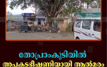 തോപ്രാംകുടിയില്‍ അപകടഭീഷണിയായി ആല്‍മരം: മുറിച്ചുനീക്കണമെന്ന് നാട്ടുകാര്‍