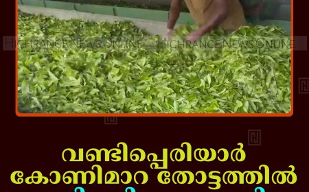വണ്ടിപ്പെരിയാര്‍ കോണിമാറ തോട്ടത്തില്‍ തേയില ദിനം ആചരിച്ചു
