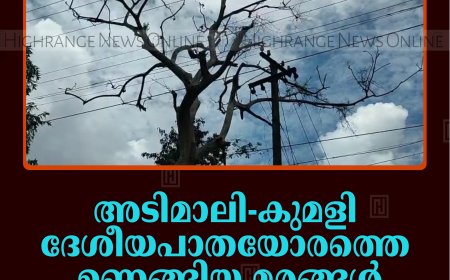അടിമാലി-കുമളി ദേശീയപാതയോരത്തെ ഉണങ്ങിയ മരങ്ങള്‍ കാല്‍നടയാത്രികര്‍ക്ക് ഭീഷണി 
