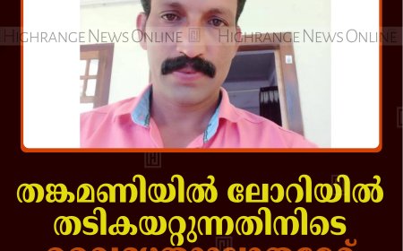തങ്കമണിയില്‍ ലോറിയില്‍ തടികയറ്റുന്നതിനിടെ വൈദ്യുതാഘാതമേറ്റ് യുവാവ് മരിച്ചു