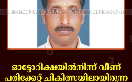 ഓട്ടോറിക്ഷയില്‍നിന്ന് വീണ് പരിക്കേറ്റ് ചികിത്സയിലായിരുന്ന യുവാവ് മരിച്ചു