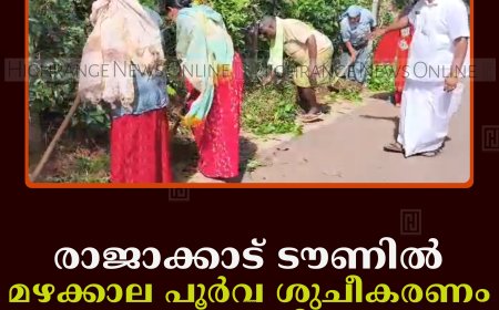 രാജാക്കാട് ടൗണില്‍ മഴക്കാല പൂര്‍വ ശുചീകരണം നടത്തി 