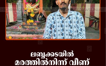 ലബ്ബക്കടയില്‍ മരത്തില്‍നിന്ന് വീണ് യുവാവ് മരിച്ചു