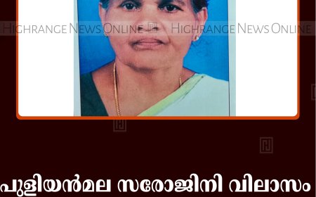 പുളിയന്‍മല സരോജിനി വിലാസം സരസ്വതിയമ്മ അന്തരിച്ചു