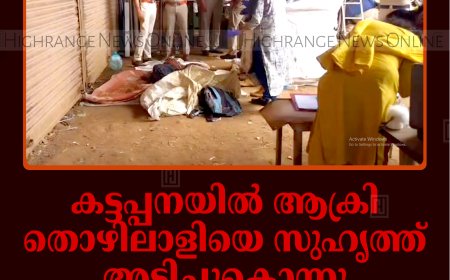കട്ടപ്പനയില്‍ ആക്രി തൊഴിലാളിയെ സുഹൃത്ത് അടിച്ചുകൊന്നു: മദ്യലഹരിയിലുണ്ടായ വാക്കുതര്‍ക്കം കൊലപാതകത്തില്‍ കലാശിച്ചു