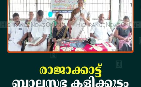 രാജാക്കാട്ട് 'ബാലസഭ കളിക്കൂട്ടം' ക്യാമ്പ് നടത്തി  