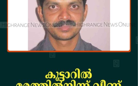 കൂട്ടാറില്‍ മരത്തില്‍നിന്ന് വീണ് മധ്യവയസ്‌കന്‍ മരിച്ചു