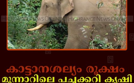 കാട്ടാനശല്യം രൂക്ഷം: മൂന്നാറിലെ പച്ചക്കറി കൃഷി പ്രതിസന്ധിയില്‍ 