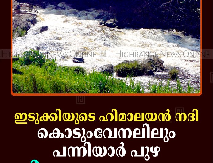 ഇടുക്കിയുടെ ഹിമാലയന്‍ നദി: കൊടുംവേനലിലും പന്നിയാര്‍ പുഴ നിറഞ്ഞൊഴുകുന്നു