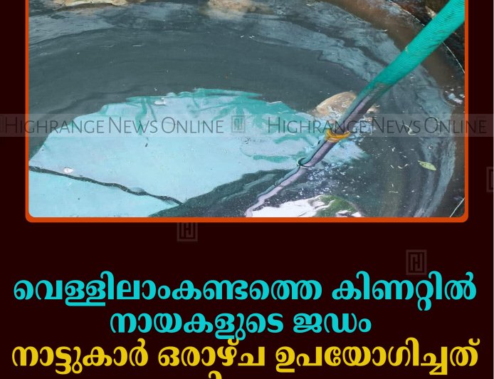വെള്ളിലാംകണ്ടത്തെ കിണറ്റില്‍ നായകളുടെ ജഡം: നാട്ടുകാര്‍ ഒരാഴ്ച ഉപയോഗിച്ചത് മലിനജലം 