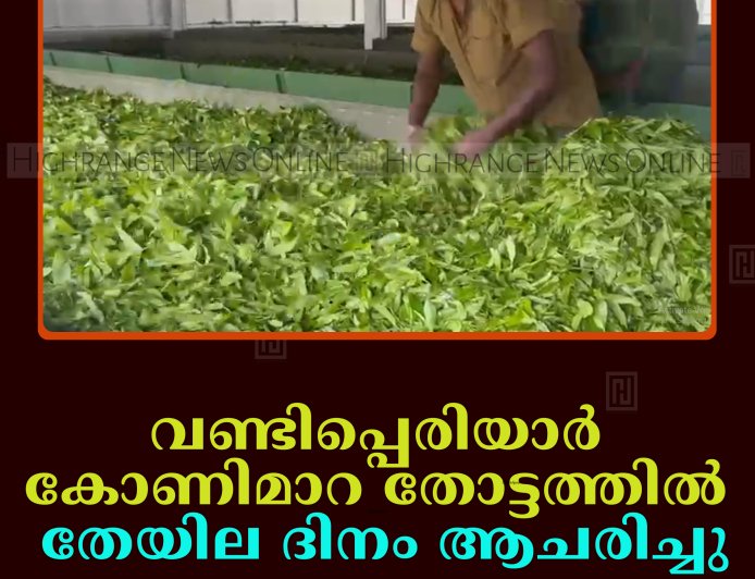 വണ്ടിപ്പെരിയാര്‍ കോണിമാറ തോട്ടത്തില്‍ തേയില ദിനം ആചരിച്ചു