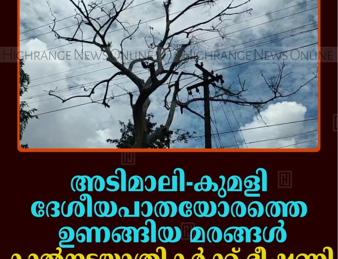 അടിമാലി-കുമളി ദേശീയപാതയോരത്തെ ഉണങ്ങിയ മരങ്ങള്‍ കാല്‍നടയാത്രികര്‍ക്ക് ഭീഷണി 