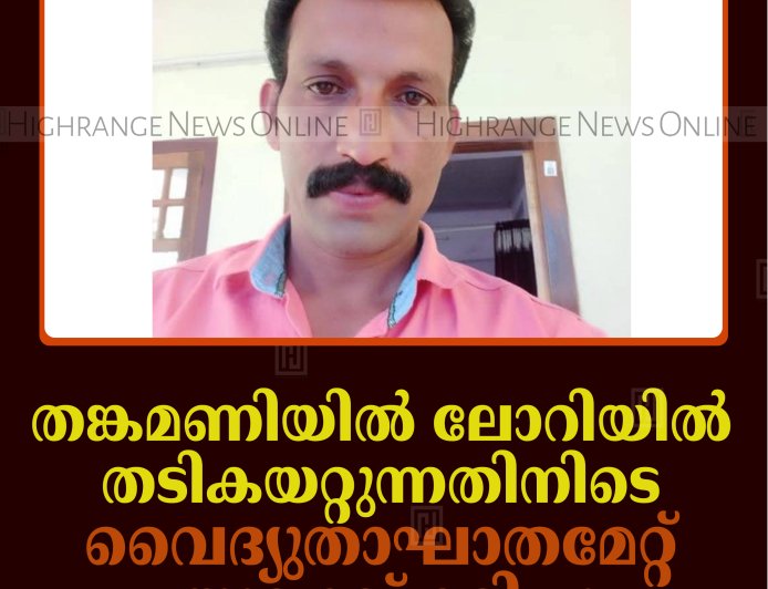തങ്കമണിയില്‍ ലോറിയില്‍ തടികയറ്റുന്നതിനിടെ വൈദ്യുതാഘാതമേറ്റ് യുവാവ് മരിച്ചു
