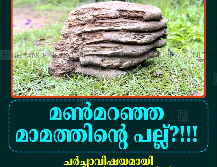 'മണ്‍മറഞ്ഞ മാമത്തിന്റെ പല്ല്?'': ചര്‍ച്ചാവിഷയമായി രാജകുമാരി മുരിക്കുംതൊട്ടിയിലെ അത്ഭുതവസ്തു