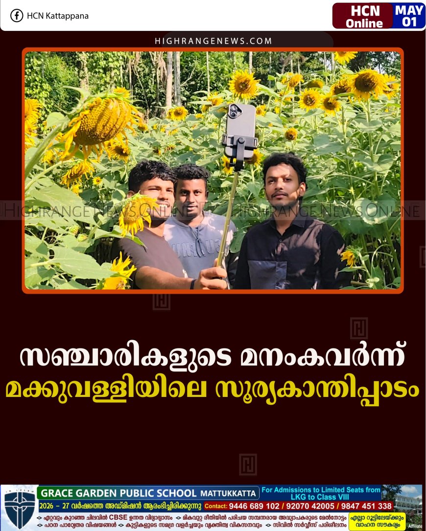 സഞ്ചാരികളുടെ മനംകവര്‍ന്ന് മക്കുവള്ളിയിലെ സൂര്യകാന്തിപ്പാടം 