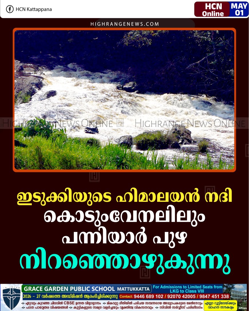 ഇടുക്കിയുടെ ഹിമാലയന്‍ നദി: കൊടുംവേനലിലും പന്നിയാര്‍ പുഴ നിറഞ്ഞൊഴുകുന്നു