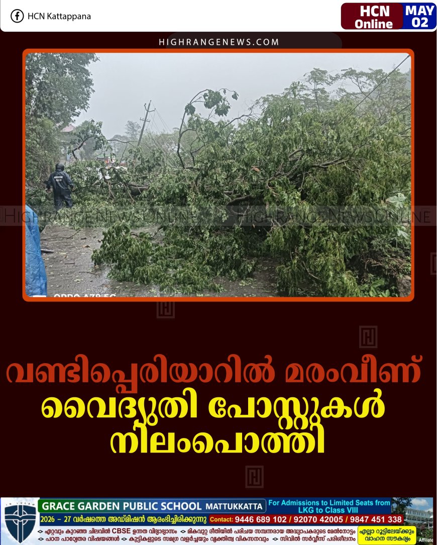 വണ്ടിപ്പെരിയാറില്‍ മരംവീണ് വൈദ്യുതി പോസ്റ്റുകള്‍ നിലംപൊത്തി