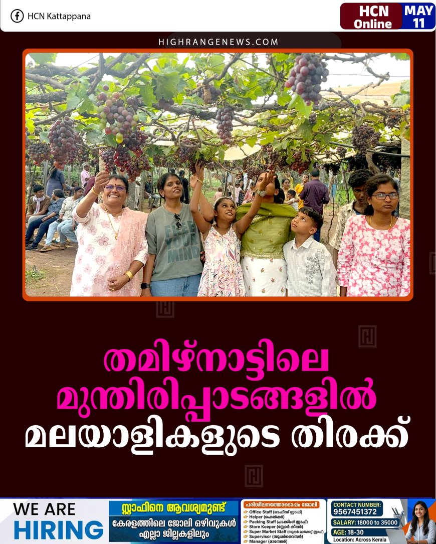 തമിഴ്‌നാട്ടിലെ മുന്തിരിപ്പാടങ്ങളില്‍ മലയാളികളുടെ തിരക്ക്