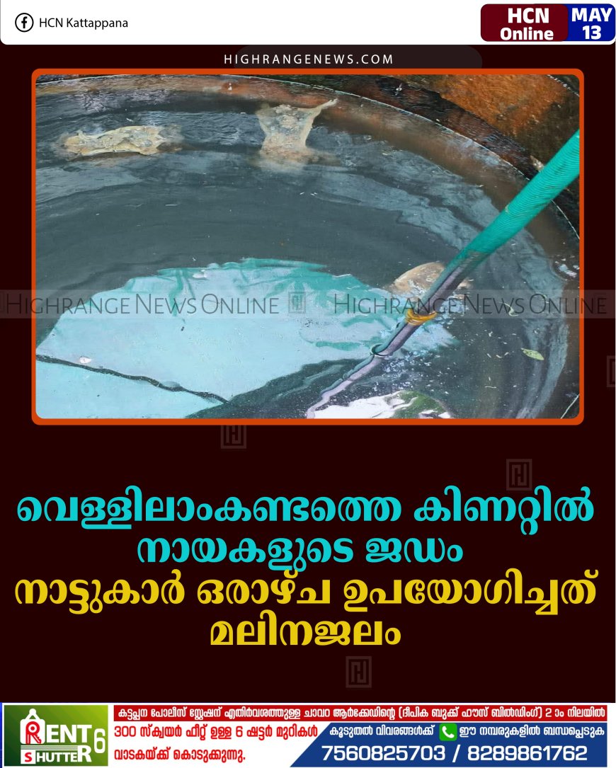 വെള്ളിലാംകണ്ടത്തെ കിണറ്റില്‍ നായകളുടെ ജഡം: നാട്ടുകാര്‍ ഒരാഴ്ച ഉപയോഗിച്ചത് മലിനജലം 