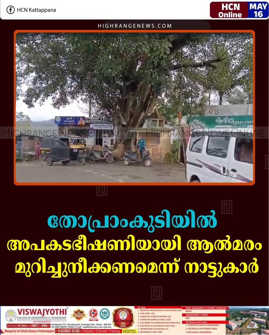 തോപ്രാംകുടിയില്‍ അപകടഭീഷണിയായി ആല്‍മരം: മുറിച്ചുനീക്കണമെന്ന് നാട്ടുകാര്‍