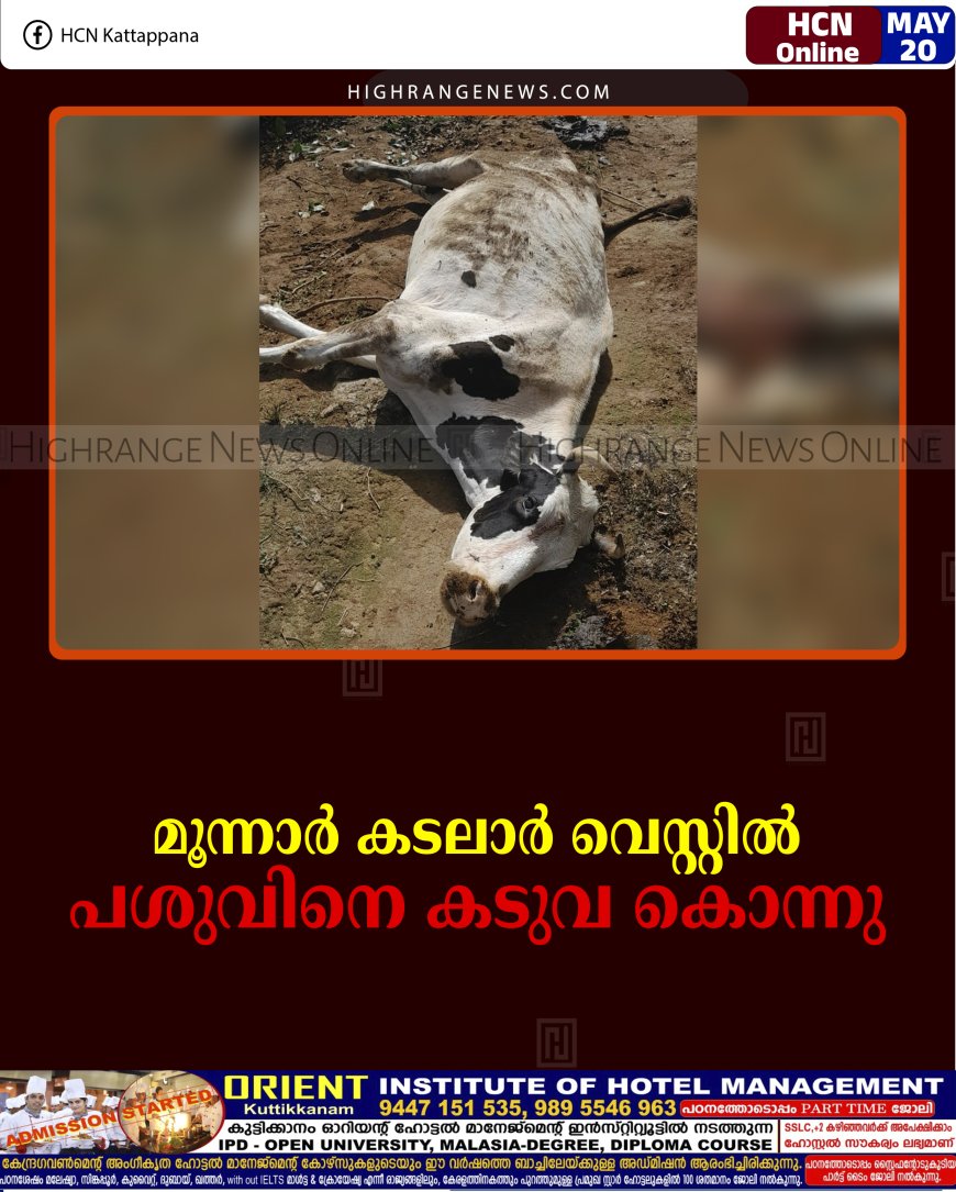 മൂന്നാര്‍ കടലാര്‍ വെസ്റ്റില്‍ പശുവിനെ കടുവ കൊന്നു