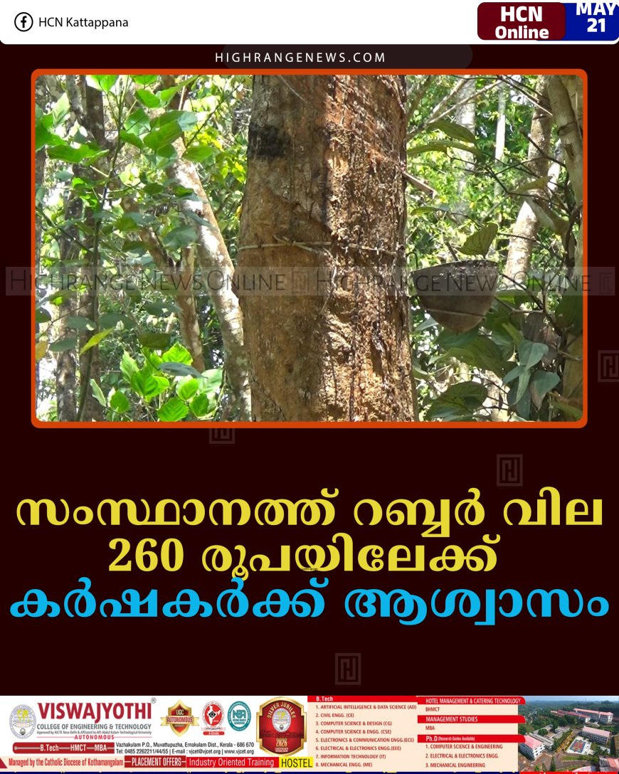 സംസ്ഥാനത്ത് റബ്ബര്‍ വില 260 രൂപയിലേക്ക്: കര്‍ഷകര്‍ക്ക് ആശ്വാസം 
