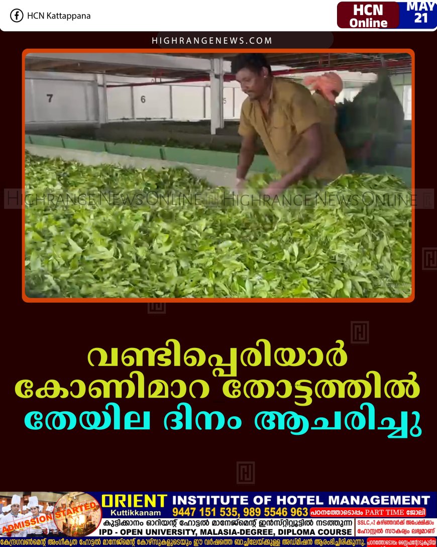 വണ്ടിപ്പെരിയാര്‍ കോണിമാറ തോട്ടത്തില്‍ തേയില ദിനം ആചരിച്ചു