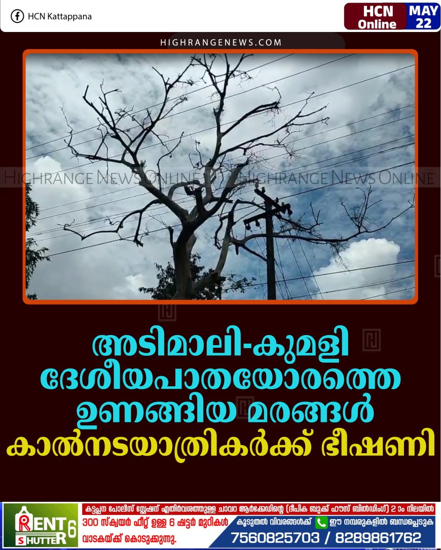 അടിമാലി-കുമളി ദേശീയപാതയോരത്തെ ഉണങ്ങിയ മരങ്ങള്‍ കാല്‍നടയാത്രികര്‍ക്ക് ഭീഷണി 