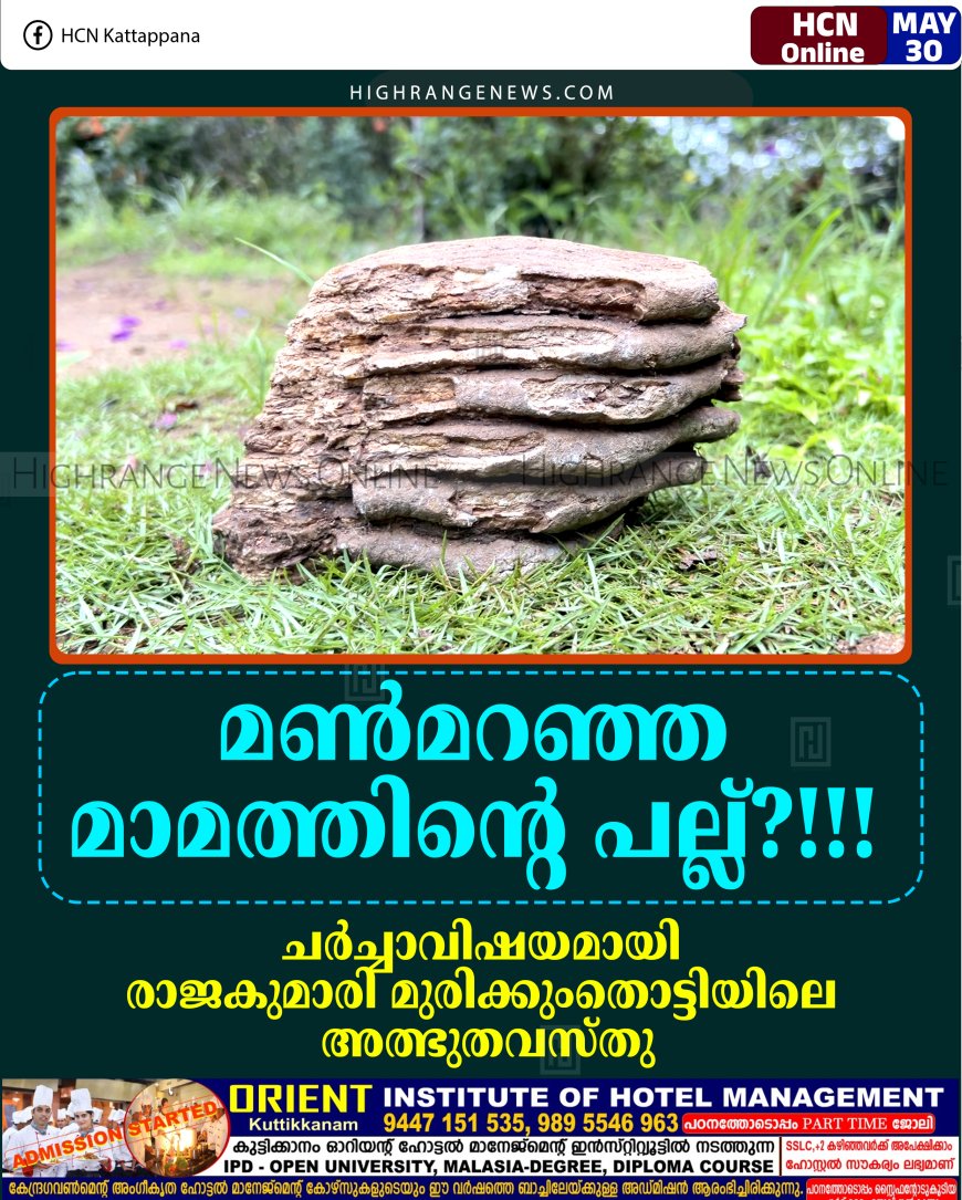 'മണ്‍മറഞ്ഞ മാമത്തിന്റെ പല്ല്?'': ചര്‍ച്ചാവിഷയമായി രാജകുമാരി മുരിക്കുംതൊട്ടിയിലെ അത്ഭുതവസ്തു