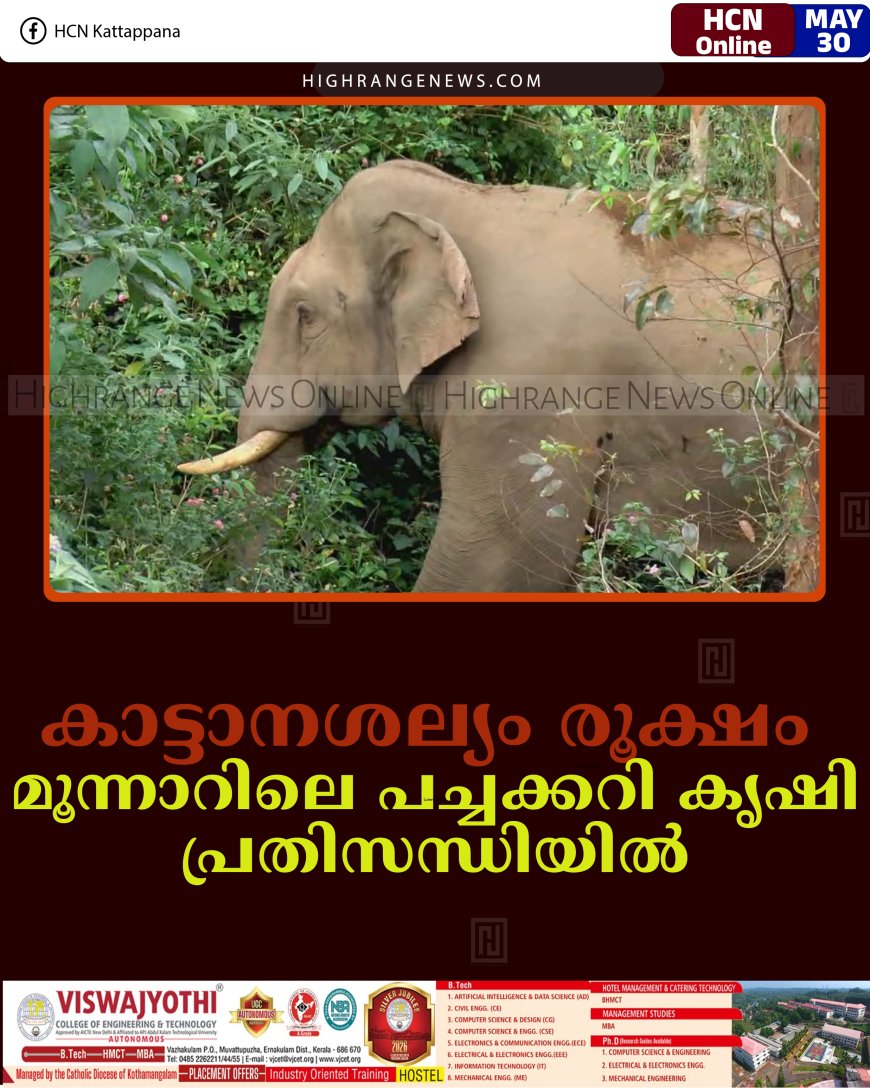 കാട്ടാനശല്യം രൂക്ഷം: മൂന്നാറിലെ പച്ചക്കറി കൃഷി പ്രതിസന്ധിയില്‍ 