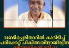 വണ്ടിപ്പെരിയാറില്‍ കാറിടിച്ച് പരിക്കേറ്റ് ചികിത്സയിലായിരുന്ന വയോധികന്‍ മരിച്ചു