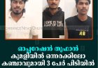 ഓപ്പറേഷന്‍ തൂഫാന്‍: കുമളിയില്‍ ഒന്നരക്കിലോ കഞ്ചാവുമായി 3 പേര്‍ പിടിയില്‍
