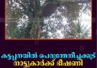 കട്ടപ്പനയില്‍ പെരുന്തേനീച്ചക്കൂട് നാട്ടുകാര്‍ക്ക് ഭീഷണി 