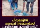 പീരുമേട്ടില്‍ തെരുവ് നായകള്‍ക്ക് പ്രതിരോധ കുത്തിവയ്പ്പ് ആരംഭിച്ചു