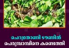 ചെറുതോണി ടൗണില്‍ പെരുമ്പാമ്പിനെ കണ്ടെത്തി     