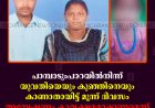 പാമ്പാടുംപാറയില്‍നിന്ന് യുവതിയെയും കുഞ്ഞിനെയും കാണാതായിട്ട് മൂന്ന് ദിവസം: അന്വേഷണം കാര്യക്ഷമമാക്കണമെന്ന് ബന്ധുക്കള്‍ 