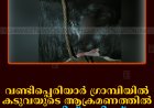 വണ്ടിപ്പെരിയാര്‍ ഗ്രാമ്പിയില്‍ കടുവയുടെ ആക്രമണത്തില്‍ പശുവിന് പരിക്ക് 