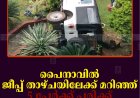 പൈനാവില്‍ ജീപ്പ് താഴ്ചയിലേക്ക് മറിഞ്ഞ് 5 പേര്‍ക്ക് പരിക്ക്    