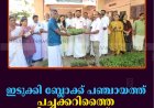 ഇടുക്കി ബ്ലോക്ക് പഞ്ചായത്ത് പച്ചക്കറിത്തൈ വിതരണം ചെയ്തു 