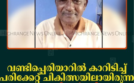 വണ്ടിപ്പെരിയാറില്‍ കാറിടിച്ച് പരിക്കേറ്റ് ചികിത്സയിലായിരുന്ന വയോധികന്‍ മരിച്ചു