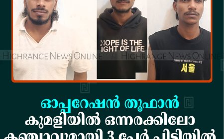 ഓപ്പറേഷന്‍ തൂഫാന്‍: കുമളിയില്‍ ഒന്നരക്കിലോ കഞ്ചാവുമായി 3 പേര്‍ പിടിയില്‍