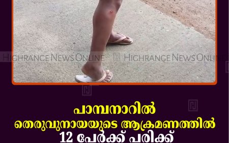 പാമ്പനാറില്‍ തെരുവുനായയുടെ ആക്രമണത്തില്‍ 12 പേര്‍ക്ക് പരിക്ക്